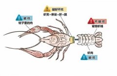 СϺؽ겻ʵ ڵר